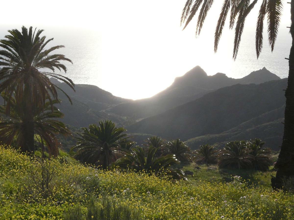 El Pirguan Holiday House, Your Oasis In La Gomera Валлегермосо Екстер'єр фото