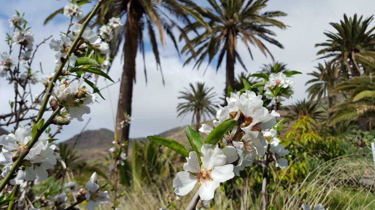 El Pirguan Holiday House, Your Oasis In La Gomera Валлегермосо Екстер'єр фото