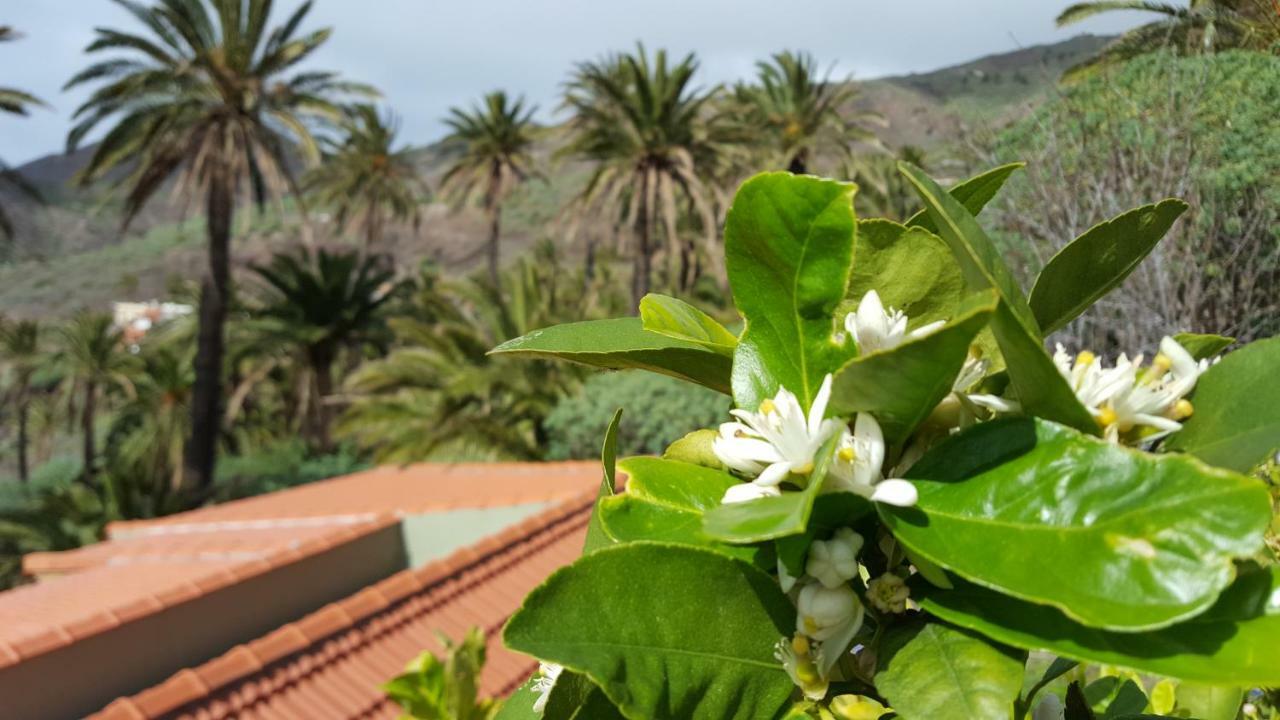 El Pirguan Holiday House, Your Oasis In La Gomera Валлегермосо Екстер'єр фото
