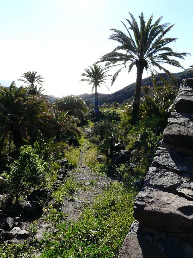 El Pirguan Holiday House, Your Oasis In La Gomera Валлегермосо Екстер'єр фото